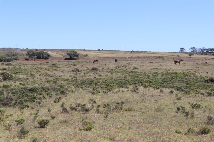 Commercial Property for Sale in Wavecrest Eastern Cape